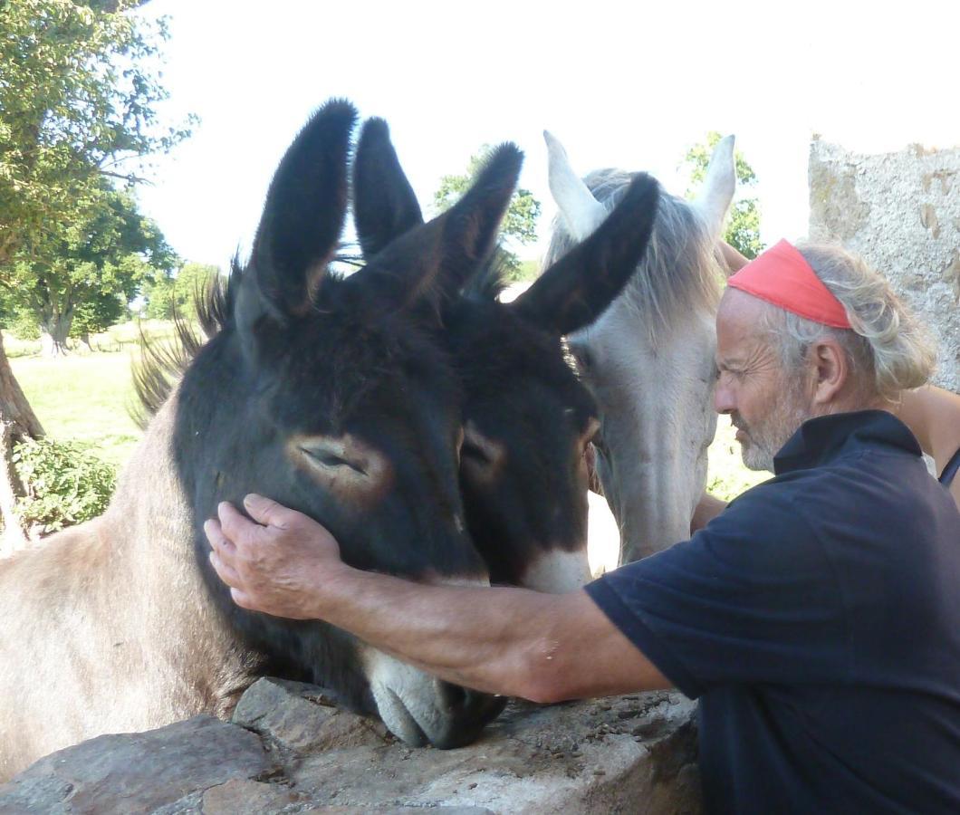 La Ferme De Pomereix Le Dorat ภายนอก รูปภาพ